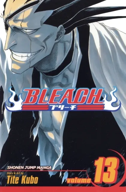 Bleach, Volume 13 9781421506111