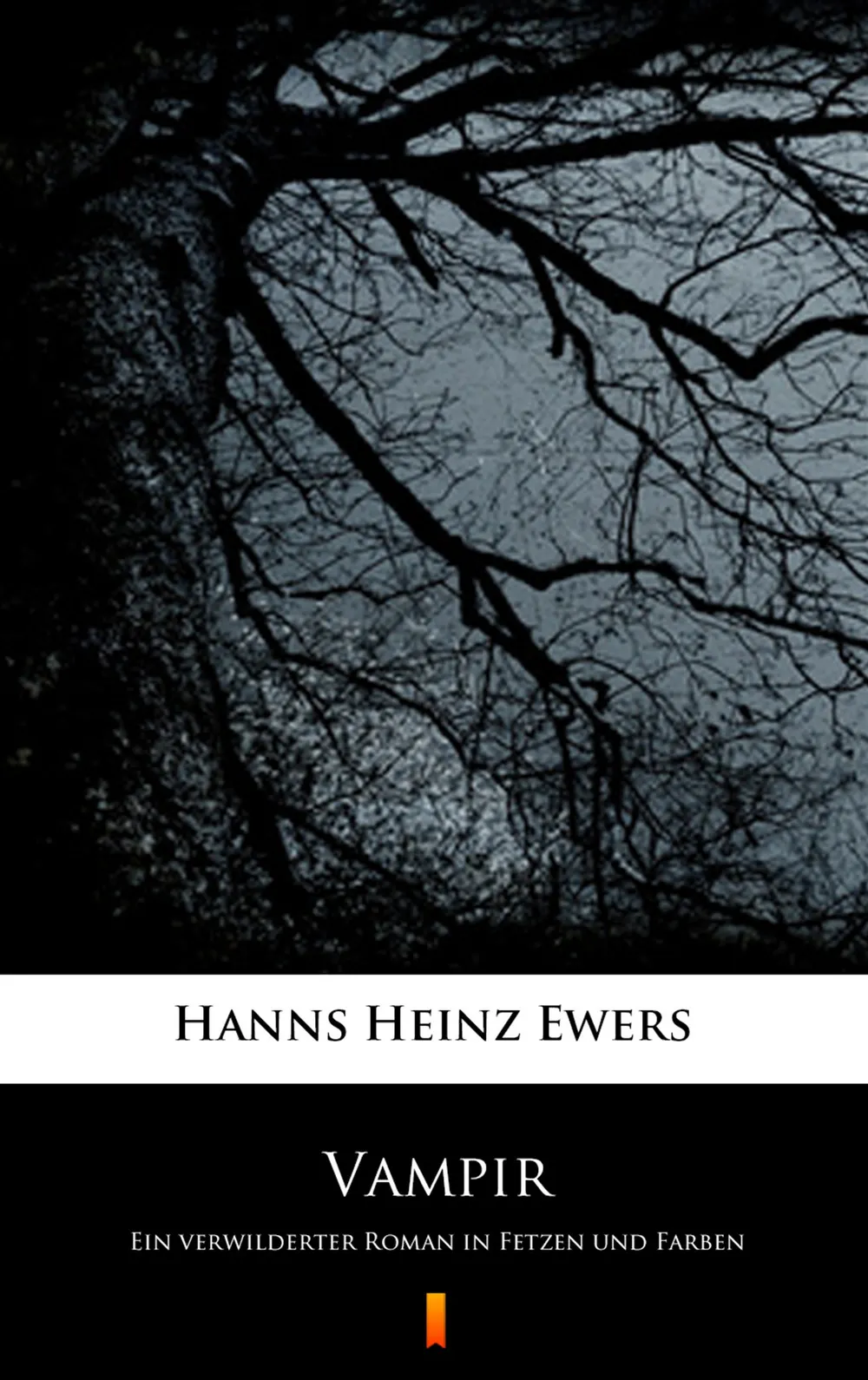 Vampir. Ein verwilderter Roman in Fetzen und Farben (e-book) 9788381367011