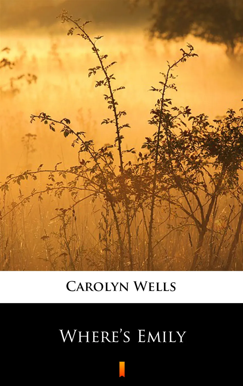 Where’s Emily (e-book) 9788382007350