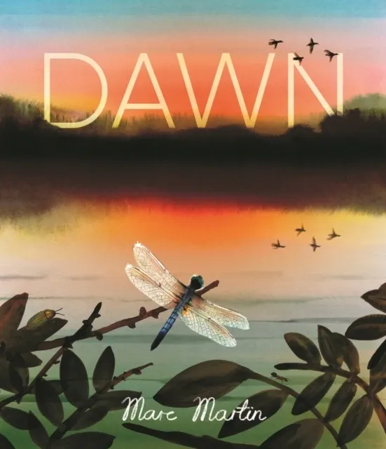 Dawn: Watch the World Awaken  9781529527346
