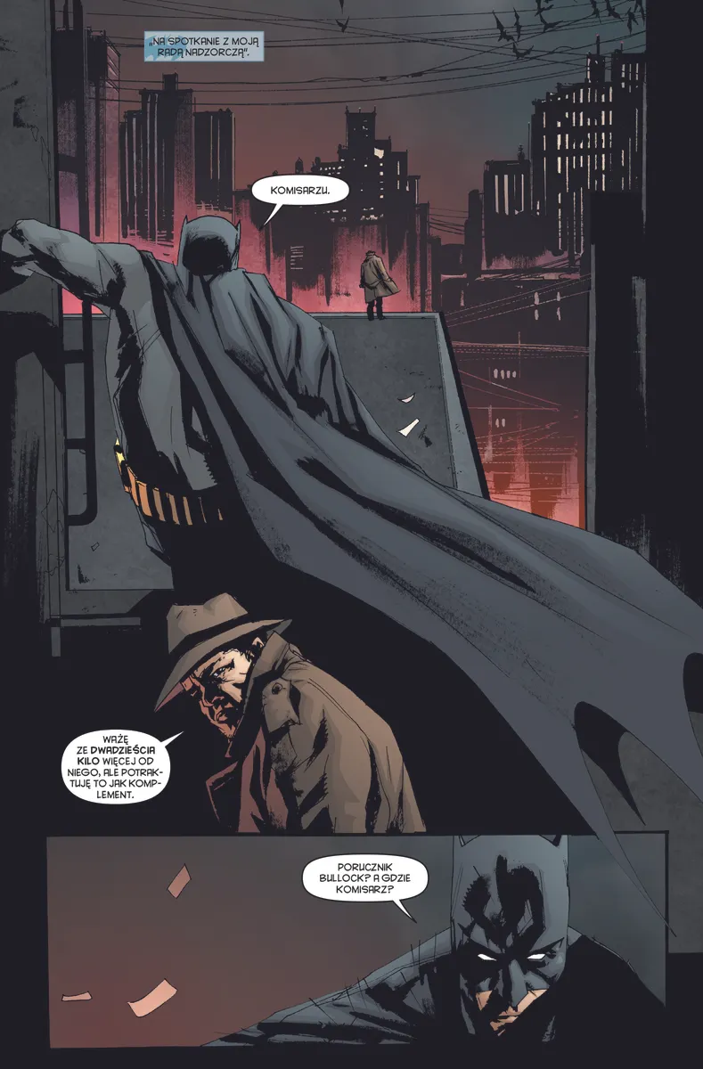 Batman: Mroczne odbicie (DC Compact) 9788328173873