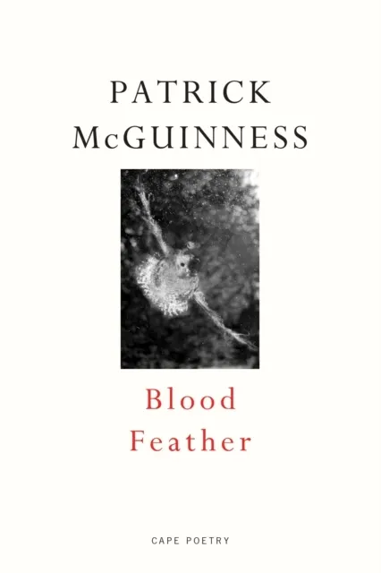 Blood Feather  9780224098311