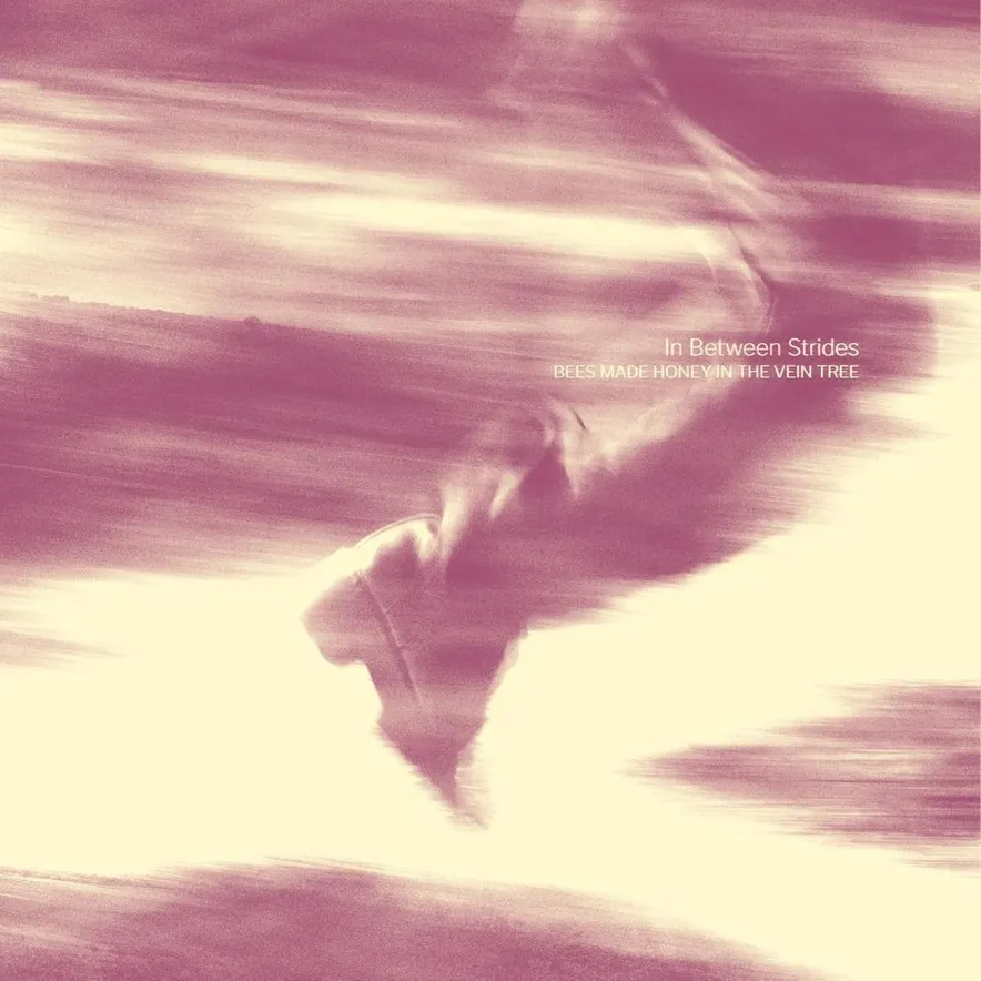 In Between Strides (Digipack)  884388898684