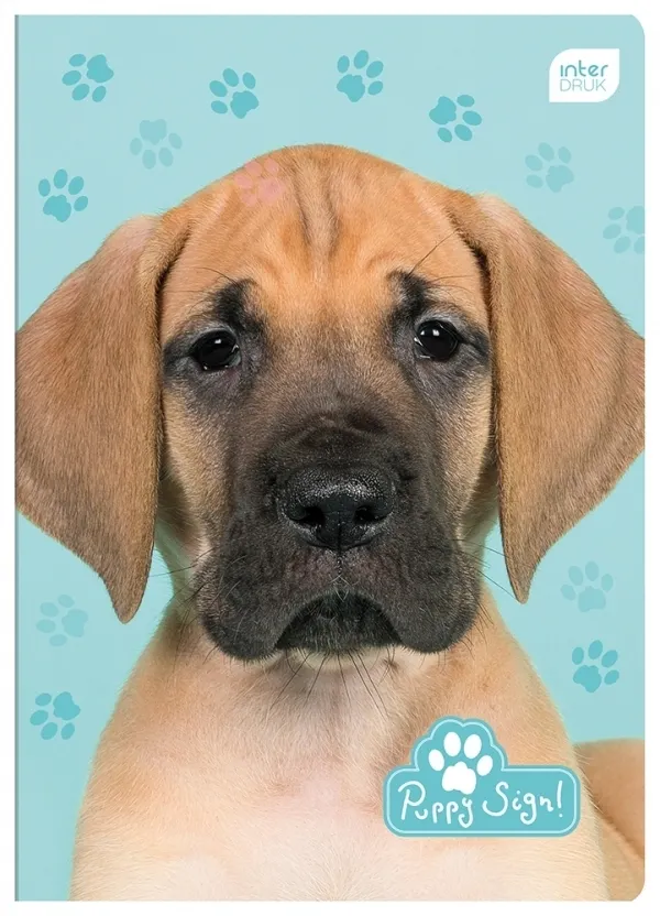 Zeszyt A5/16 kartkowy w kratkę Puppy Sign (305653) 5902277226921