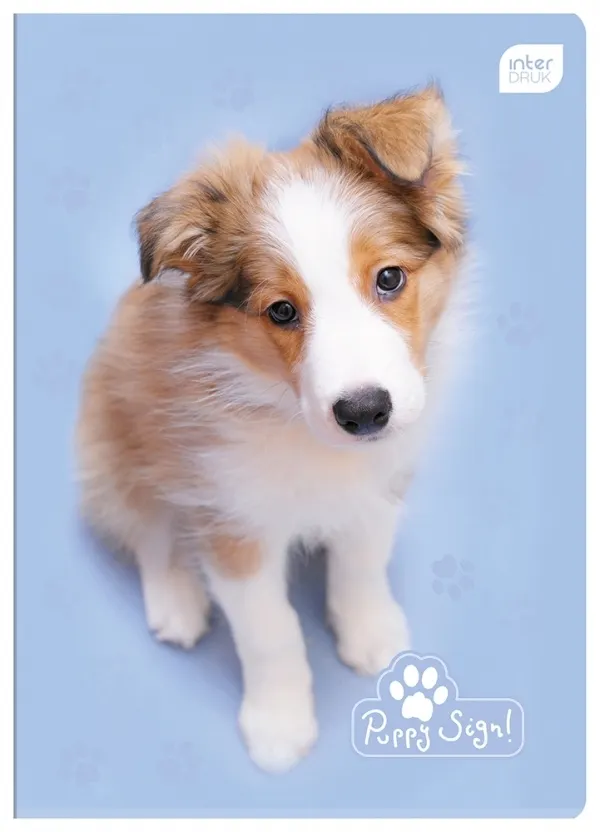 Zeszyt A5/16 kartkowy w kratkę Puppy Sign (305653) 5902277226921