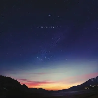 Singularity (Vinyl)  887828035212