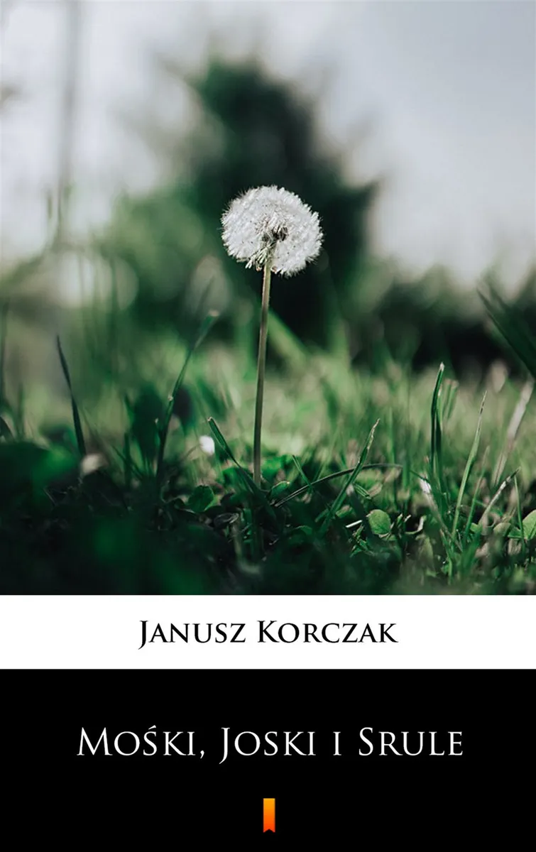 Mośki, Joski i Srule 9788382178111