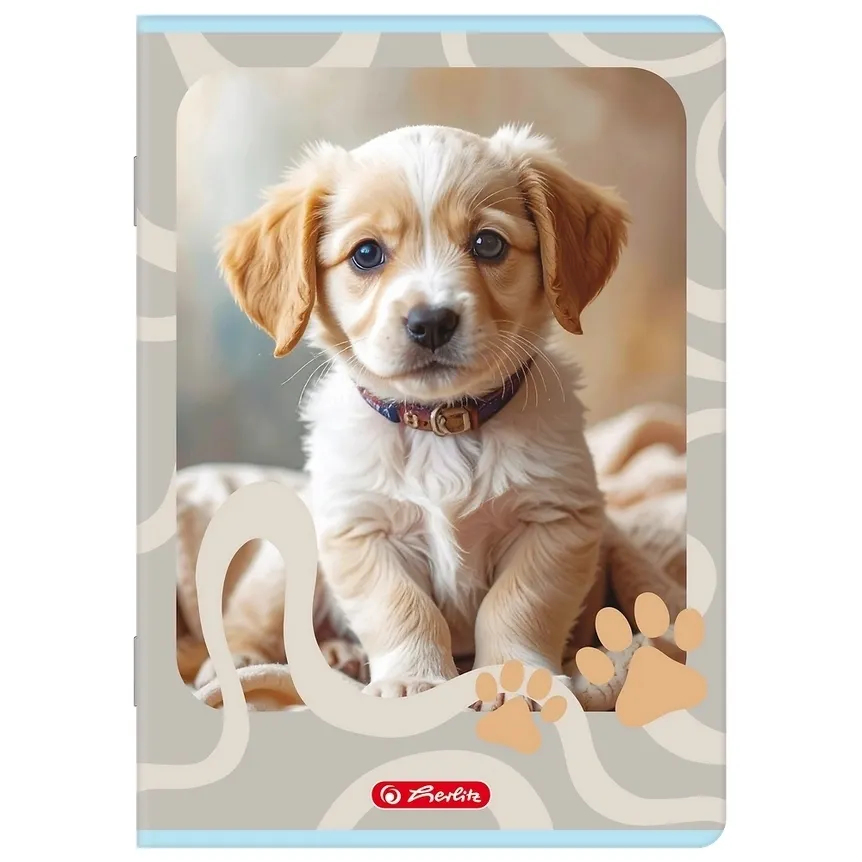 Zeszyt Herlitz Standard Animals A5/16k kratka, 1 szt 5904017457701