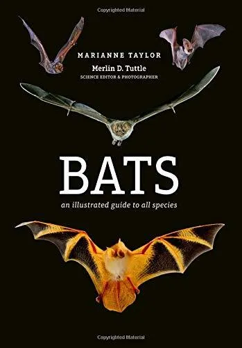 Bats  9781782405573