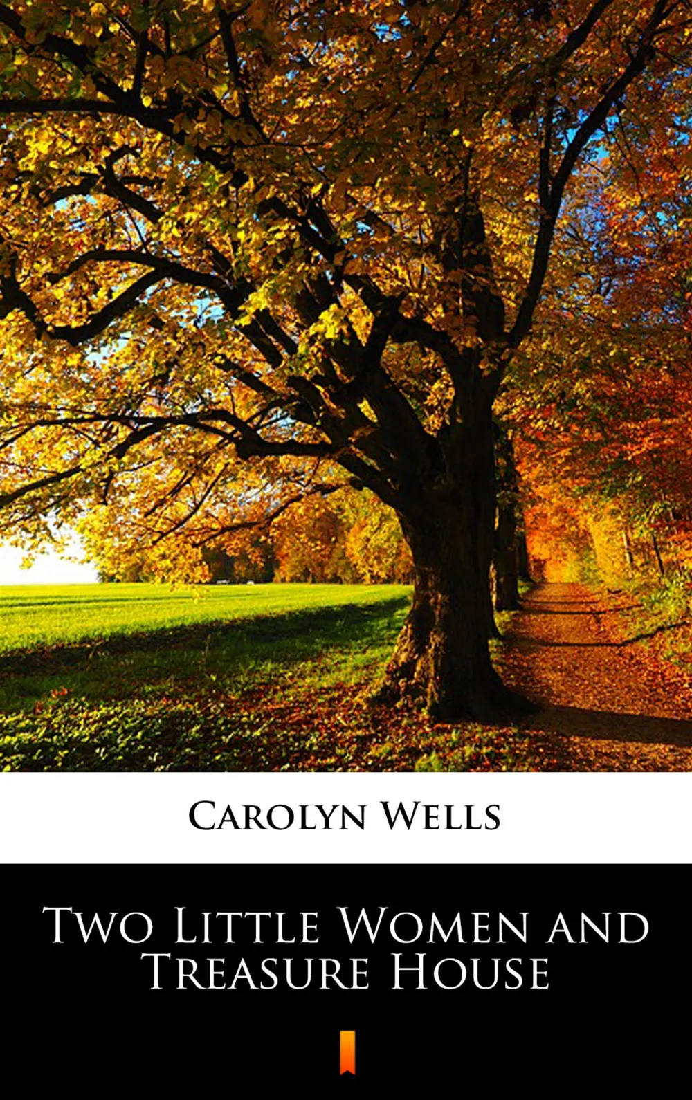 Two Little Women and Treasure House (e-book) 9788382007336