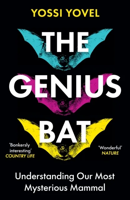 The Genius Bat  9781836432593