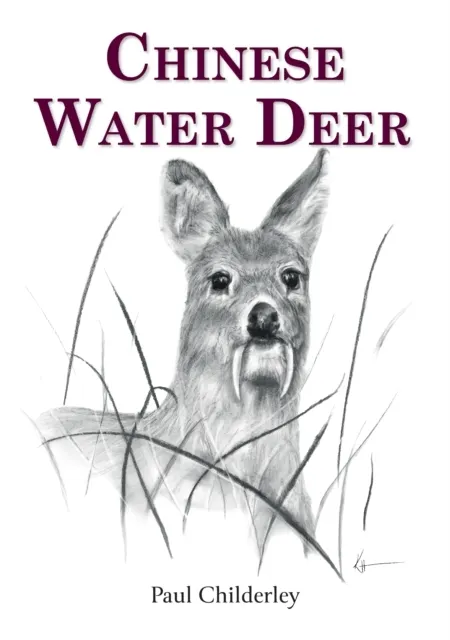 Chinese Water Deer  9781846894336