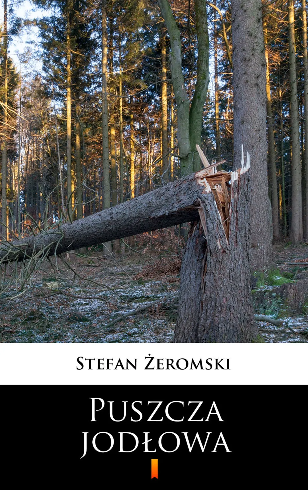 Puszcza jodłowa 9788379039128