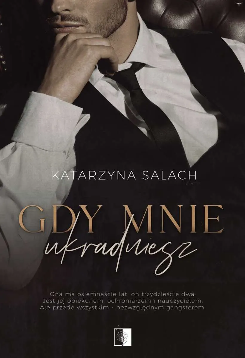Gdy mnie ukradniesz 9788383204093