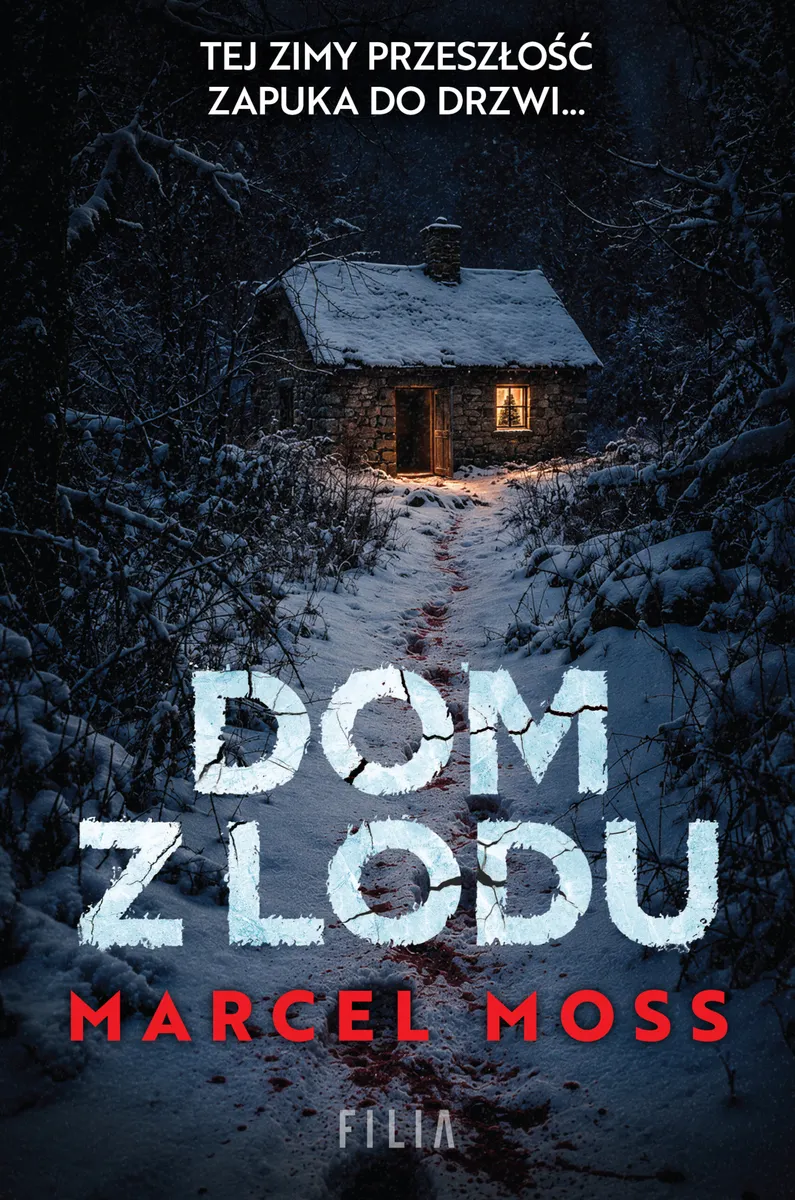 Dom z lodu 9788384418741