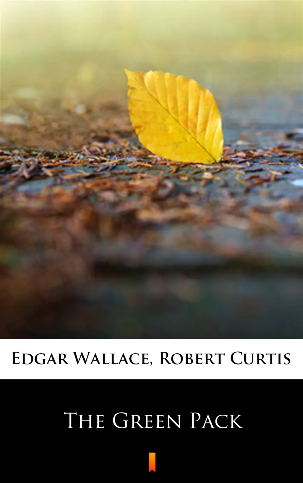 The Green Pack (e-book) 9788381622059