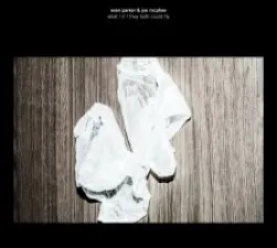 What & If & They Both Could Fly 7033662021499