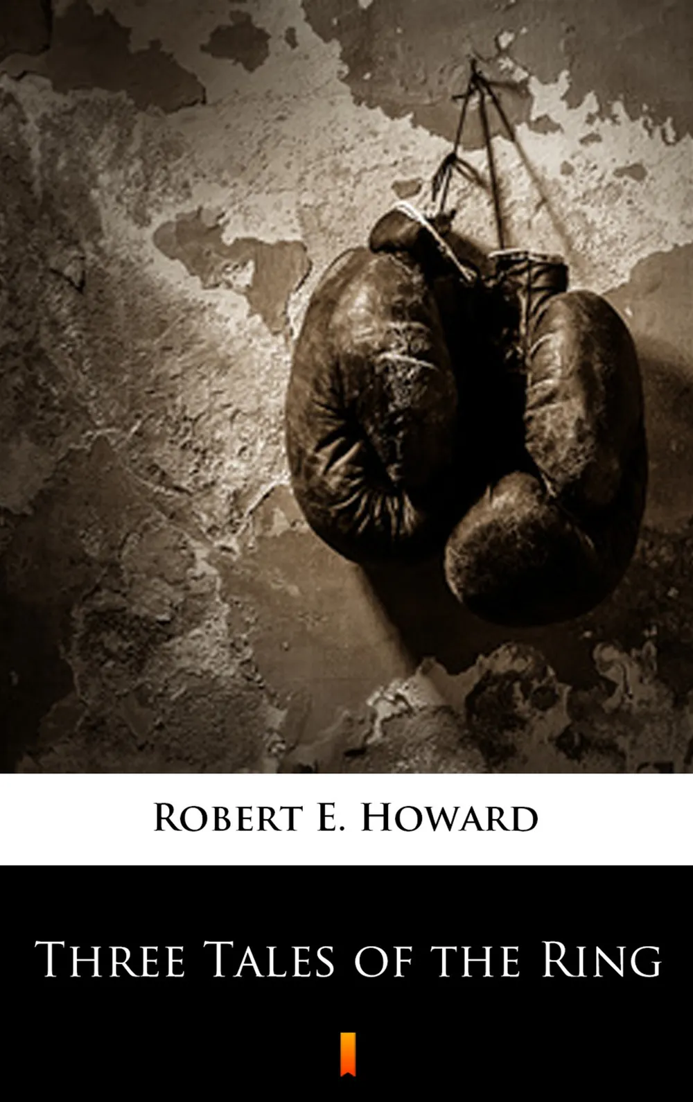Three Tales of the Ring 9788381488495